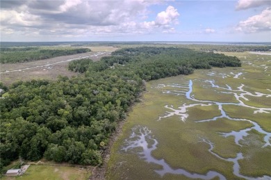 (private lake, pond, coastal) Acreage For Sale in Woodbine Georgia