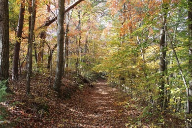 Lake Cumberland Acreage For Sale in Russell Springs Kentucky