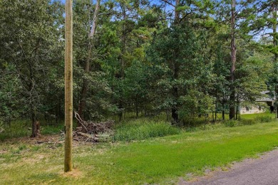 Waterfront and Waterview Lots - Lake O' the Pines. Looking for - photo 2