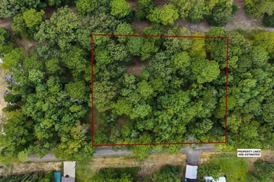 Waterfront and Waterview Lots - Lake O' the Pines. Looking for - photo 8