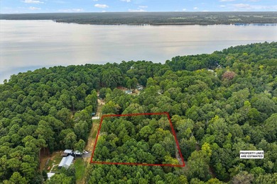 Waterfront and Waterview Lots - Lake O' the Pines. Looking for - photo 10