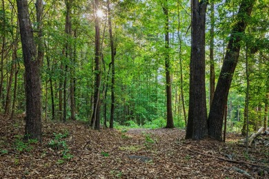 LAKE FRONT LAND with room to roam on OVER FOUR ACRES. Buoy # - photo 11