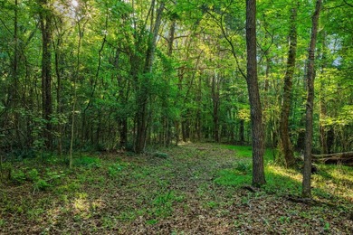 LAKE FRONT LAND with room to roam on OVER FOUR ACRES. Buoy # - photo 12