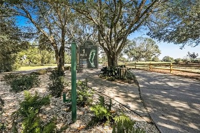 Build the home you've always envisioned within Money Hill's - photo 9