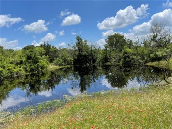 (private lake) Acreage For Sale in Gustine Texas