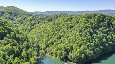 Lake Acreage For Sale in Butler, Tennessee