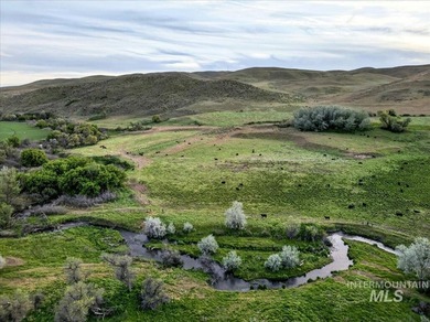 This extraordinary 4,079 acre ranch is located in the desirable - photo 5