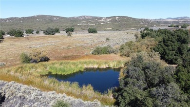 (private lake, pond, creek) Acreage For Sale in Pine Valley California
