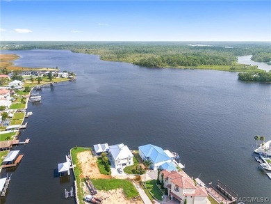 Just 1 hour from Tampa via Suncoast Parkway, this rare main - photo 2