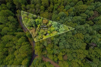 Lake Lot For Sale in Ellijay, Georgia