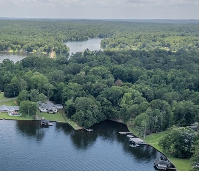 WHAT A LAKE LOT!!! You don't get this much anymore! This is an - photo 10