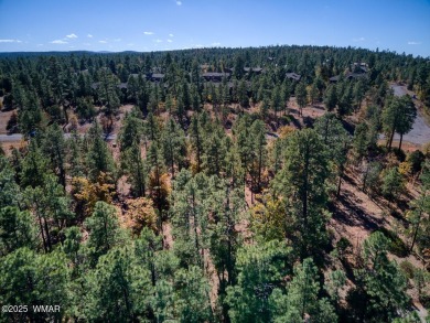 (private lake, pond, creek) Lot For Sale in Lakeside Arizona