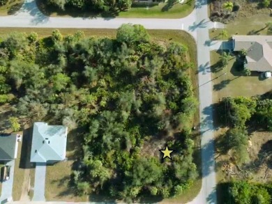 Port Charlotte Waterway Lakes Area Lot Sale Pending in Port Charlotte Florida