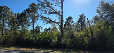 Port Charlotte Waterway Area Lot For Sale in Port Charlotte Florida