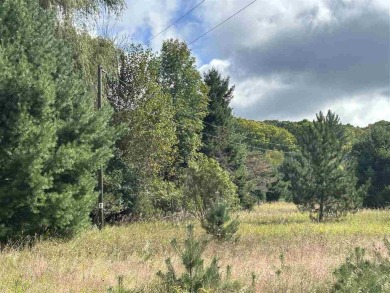 Round Lake - Charlevoix County Acreage For Sale in East Jordan Michigan