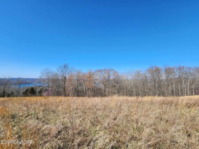 Lake Lot For Sale in Hilham, Tennessee