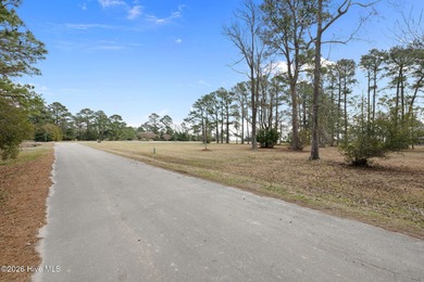 Build your coastal dream at 4005 Tarpon Drive in Oriental, NC - photo 4