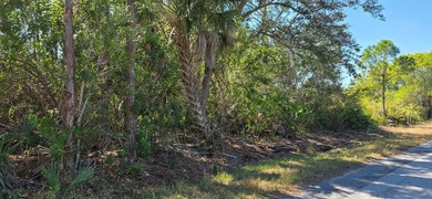 Port Charlotte Waterway Area Lot For Sale in Punta Gorda Florida