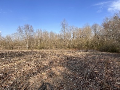 (private lake, pond, coastal) Acreage For Sale in Section Alabama