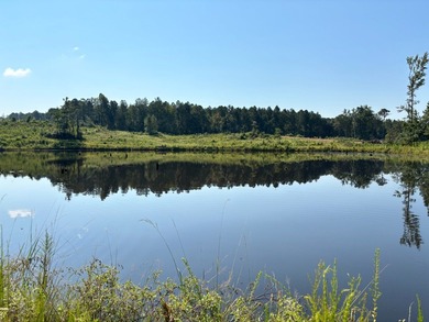 (private lake, pond, coastal) Home For Sale in Carthage Mississippi