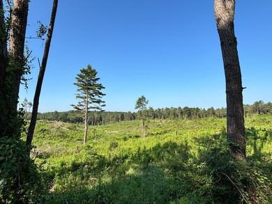 (private lake, pond, coastal) Home For Sale in Carthage Mississippi