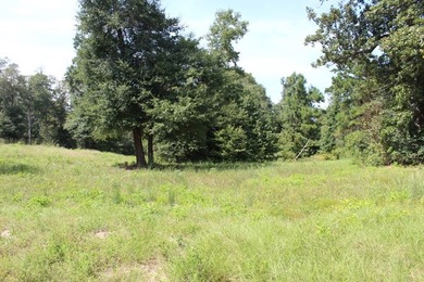 Builder's Special in Cypress Hills! Lots 24 and 25 totaling 5 - photo 11