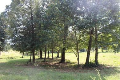 Builder's Special in Cypress Hills! Lots 24 and 25 totaling 5 - photo 13