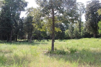 Builder's Special in Cypress Hills! Lots 24 and 25 totaling 5 - photo 14