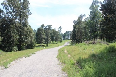 Builder's Special in Cypress Hills! Lots 24 and 25 totaling 5 - photo 15