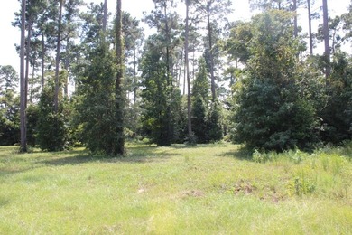 Builder's Special in Cypress Hills! Lots 24 and 25 totaling 5 - photo 18