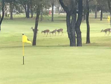 This lot is located overlooking the fairway on #1 of the Old - photo 3