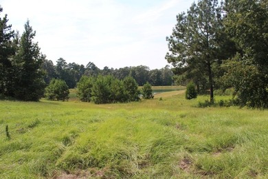 Builder's Special in Cypress Hills! Lots 24 and 25 totaling 5 - photo 24
