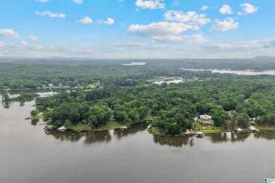 Big Price Improvement. Now is the time to start Lake Living!! - photo 31