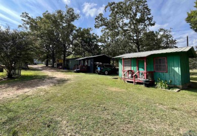 Lake Home For Sale in Avinger, Texas