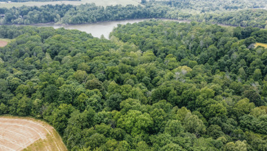 Lot 57-60 Timberlake Lane - photo 3