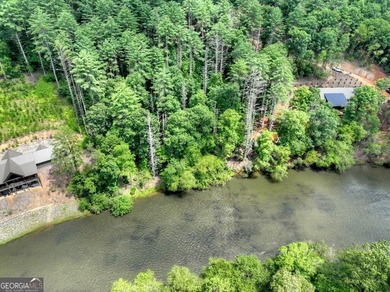 Toccoa River - Fannin County Acreage For Sale in Mineral Bluff Georgia