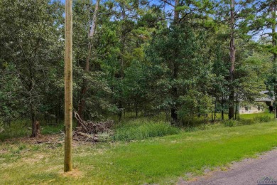 (private lake, pond, creek) Lot For Sale in Avinger Texas