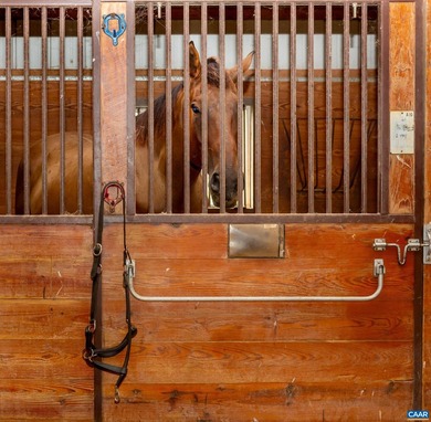Greenfields Farm spans 753 acres just outside historic - photo 12