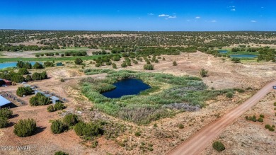 Lake Lot For Sale in Show Low, Arizona