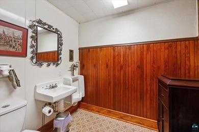 ONE-OF-A-KIND OPPORTUNITY WITH HISTORIC CHARM! 7596 Werner Rd - photo 23