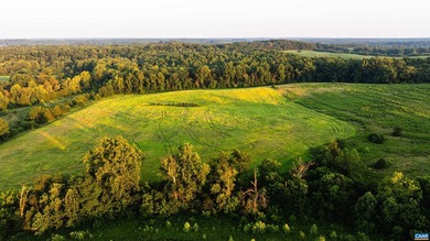 Greenfields Farm spans 753 acres just outside historic - photo 29