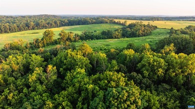 Greenfields Farm spans 753 acres just outside historic - photo 30