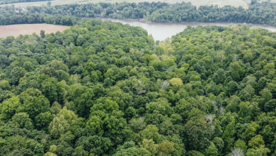 Lot 57-60 Timberlake Lane - photo 4