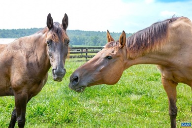 Greenfields Farm spans 753 acres just outside historic - photo 42
