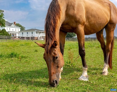 Greenfields Farm spans 753 acres just outside historic - photo 43