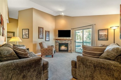 Lake Condo For Sale in Frisco, Colorado