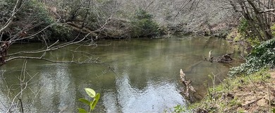 Nottely River Lot For Sale in Blairsville Georgia