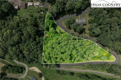 Lake Lot For Sale in Butler, Tennessee