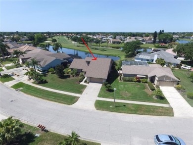 (private lake, pond, creek) Home For Sale in Bradenton Florida