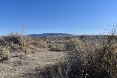 Lake Lahontan Acreage For Sale in Silver Springs Nevada